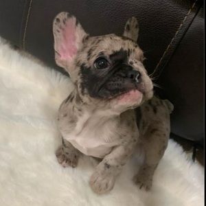 Meet your Posher, Nicholas